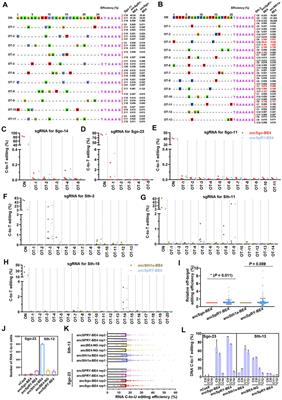 Two Compact Cas9 Ortholog-Based Cytosine Base Editors Expand the DNA Targeting Scope and Applications In Vitro and In Vivo